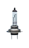 H7