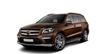 СТЕЛКИ ЗА MERCEDES GLE (2012+)
