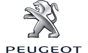 Основен ремонт за PEUGEOT